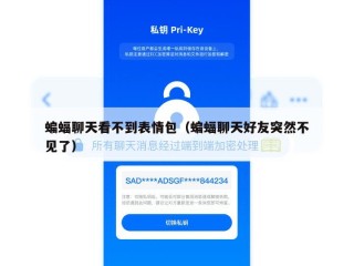 蝙蝠聊天看不到表情包（蝙蝠聊天好友突然不见了）
