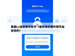 美国Ls加密聊天软件（最好用的国外聊天加密软件）