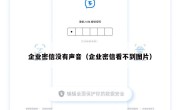 企业密信没有声音（企业密信看不到图片）