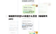 蝙蝠聊天软件lv4级是什么意思（蝙蝠聊天245）