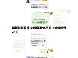 蝙蝠聊天软件lv4级是什么意思（蝙蝠聊天245）