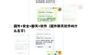国外+安全+聊天+软件（国外聊天软件叫什么名字）