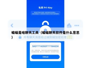 蝙蝠是啥聊天工具（蝙蝠聊天软件是什么意思）