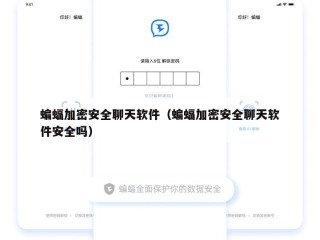 蝙蝠加密安全聊天软件（蝙蝠加密安全聊天软件安全吗）