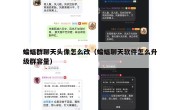 蝙蝠群聊天头像怎么改（蝙蝠聊天软件怎么升级群容量）