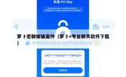 萝卜密聊被骗案件（萝卜+专业聊天软件下载）