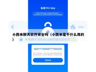 小西米聊天软件安全吗（小西米是干什么用的）