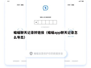 蝙蝠聊天记录转链接（蝙蝠app聊天记录怎么导出）