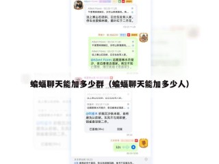 蝙蝠聊天能加多少群（蝙蝠聊天能加多少人）