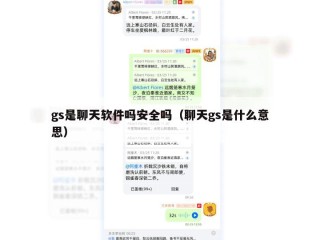 gs是聊天软件吗安全吗（聊天gs是什么意思）