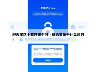 聊天宝这个软件安全吗（聊天宝是干什么用的）