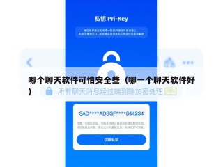 哪个聊天软件可怕安全些（哪一个聊天软件好）