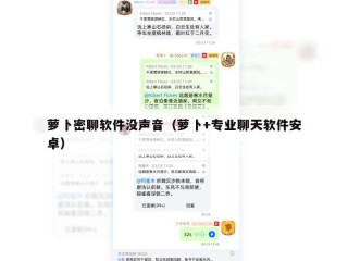 萝卜密聊软件没声音（萝卜+专业聊天软件安卓）