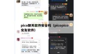 pico聊天软件安全吗（picopico交友软件）