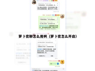 萝卜密聊怎么用啊（萝卜密怎么开启）