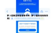 萝卜密聊怎样登录账号啊（萝卜蜜的功效和作用）