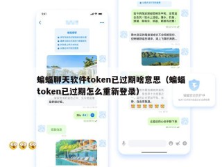 蝙蝠聊天软件token已过期啥意思（蝙蝠token已过期怎么重新登录）