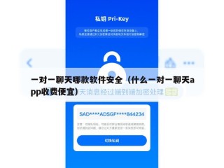一对一聊天哪款软件安全（什么一对一聊天app收费便宜）