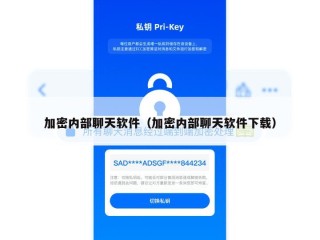加密内部聊天软件（加密内部聊天软件下载）