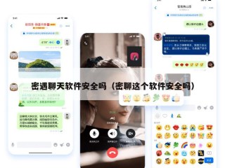 密遇聊天软件安全吗（密聊这个软件安全吗）