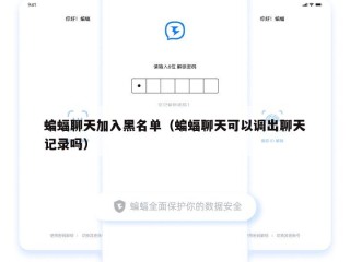 蝙蝠聊天加入黑名单（蝙蝠聊天可以调出聊天记录吗）