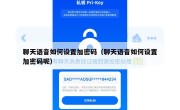聊天语音如何设置加密码（聊天语音如何设置加密码呢）