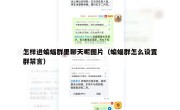 怎样进蝙蝠群里聊天呢图片（蝙蝠群怎么设置群禁言）