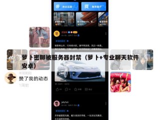 萝卜密聊被服务器封禁（萝卜+专业聊天软件安卓）
