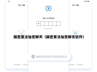 国密算法加密聊天（国密算法加密聊天软件）