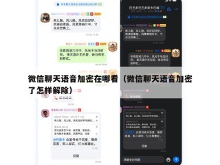 微信聊天语音加密在哪看（微信聊天语音加密了怎样解除）