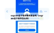 sugram这个软件聊天安全吗（sugram这个软件怎么样）