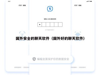 国外安全的聊天软件（国外好的聊天软件）