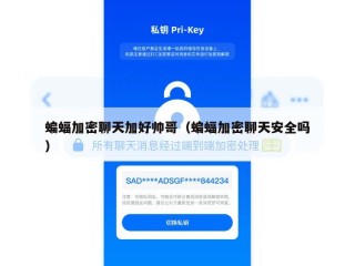 蝙蝠加密聊天加好帅哥（蝙蝠加密聊天安全吗）