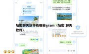 加密聊天软件有哪些gram（加密 聊天 软件）