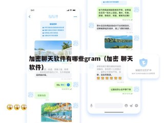 加密聊天软件有哪些gram（加密 聊天 软件）