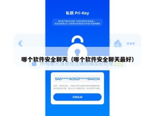 哪个软件安全聊天（哪个软件安全聊天最好）