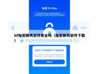 bf加密聊天软件安全吗（加密聊天软件下载）