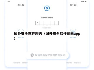 国外安全软件聊天（国外安全软件聊天app）