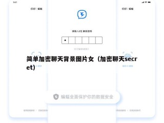 简单加密聊天背景图片女（加密聊天secret）