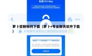 萝卜密聊如何下载（萝卜+专业聊天软件下载）