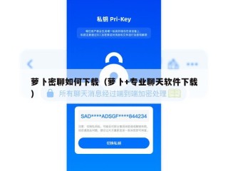 萝卜密聊如何下载（萝卜+专业聊天软件下载）