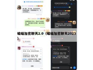 蝙蝠加密聊天2.0（蝙蝠加密聊天2023）