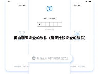 国内聊天安全的软件（聊天比较安全的软件）