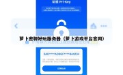 萝卜密聊好玩服务器（萝卜游戏平台官网）