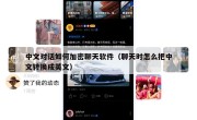 中文对话如何加密聊天软件（聊天时怎么把中文转换成英文）