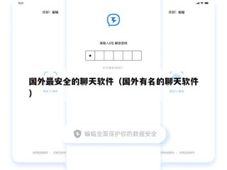 国外最安全的聊天软件（国外有名的聊天软件）