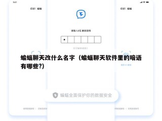 蝙蝠聊天改什么名字（蝙蝠聊天软件里的暗语有哪些?）