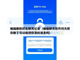 蝙蝠删除好友聊天记录（蝙蝠聊天软件对方把你删了可以收到你发的消息吗）