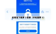 应用宝下载萝卜密聊（手机版萝卜）