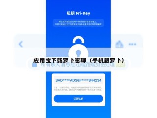 应用宝下载萝卜密聊（手机版萝卜）